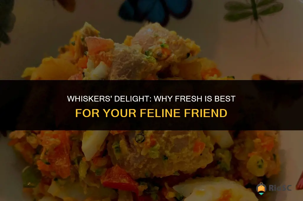 fresh is best cat food