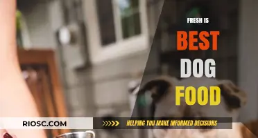 Why Fresh is Best: The Ultimate Guide to Nutritious Dog Food for Optimal Health