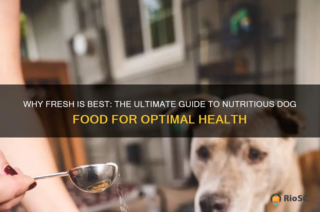 fresh is best dog food