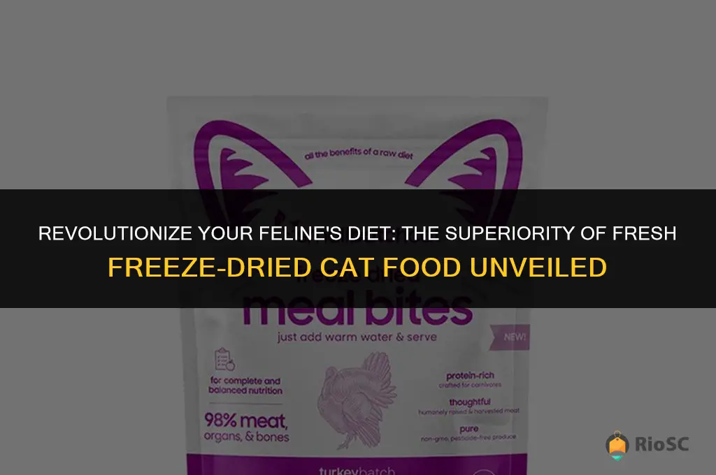 fresh is best freeze dried cat food