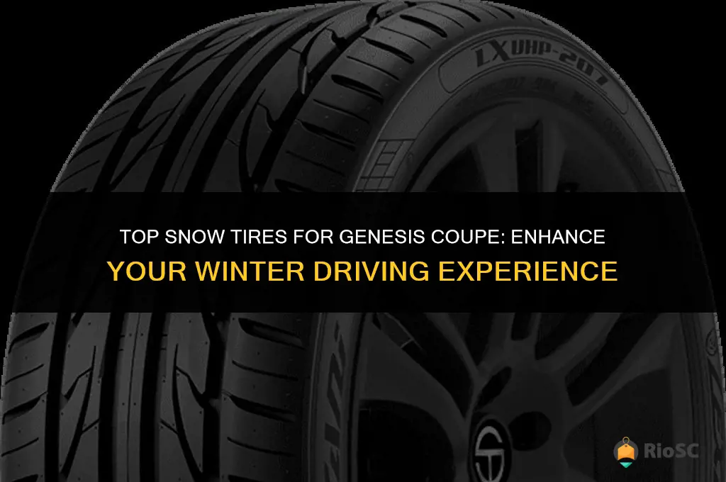 genesis coupe best snow tires
