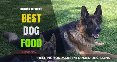 Top Nutritional Picks: Best Dog Food for German Shepherds to Thrive