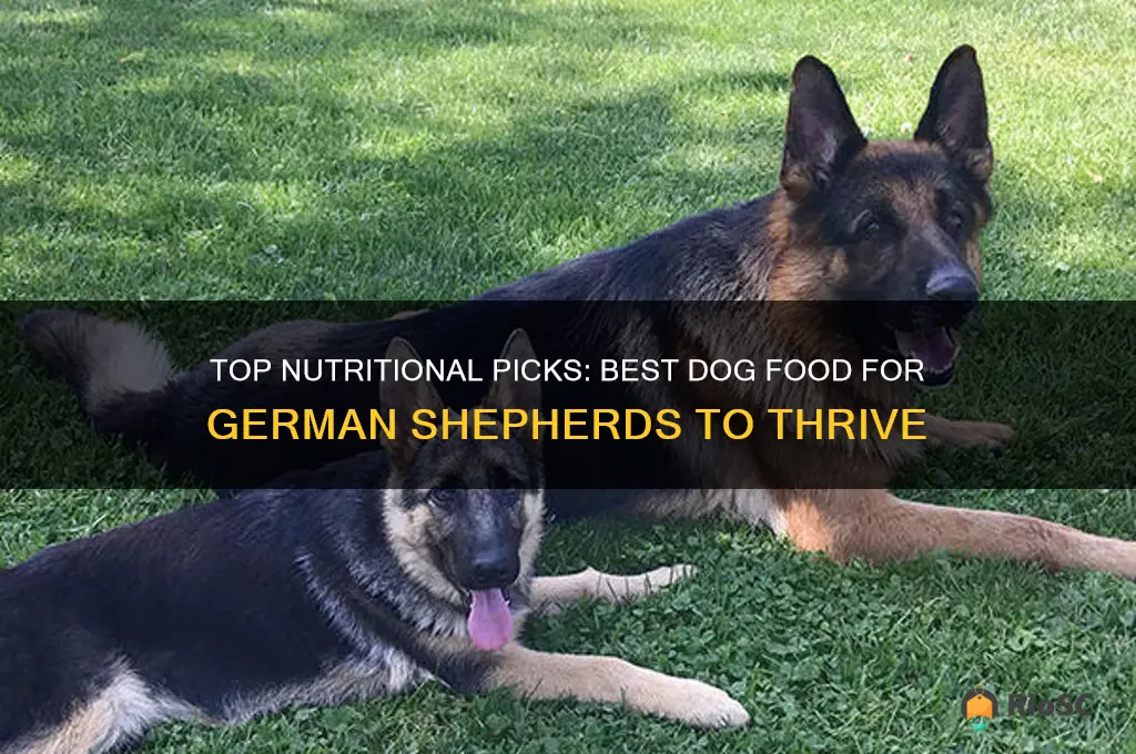 german shepherd best dog food