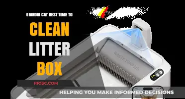 Effective Litter Box Cleaning Tips to Prevent Giardia in Cats