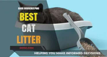 Top Picks for Clean and Fresh Homes: Good Housekeeping's Best Cat Litter Recommendations