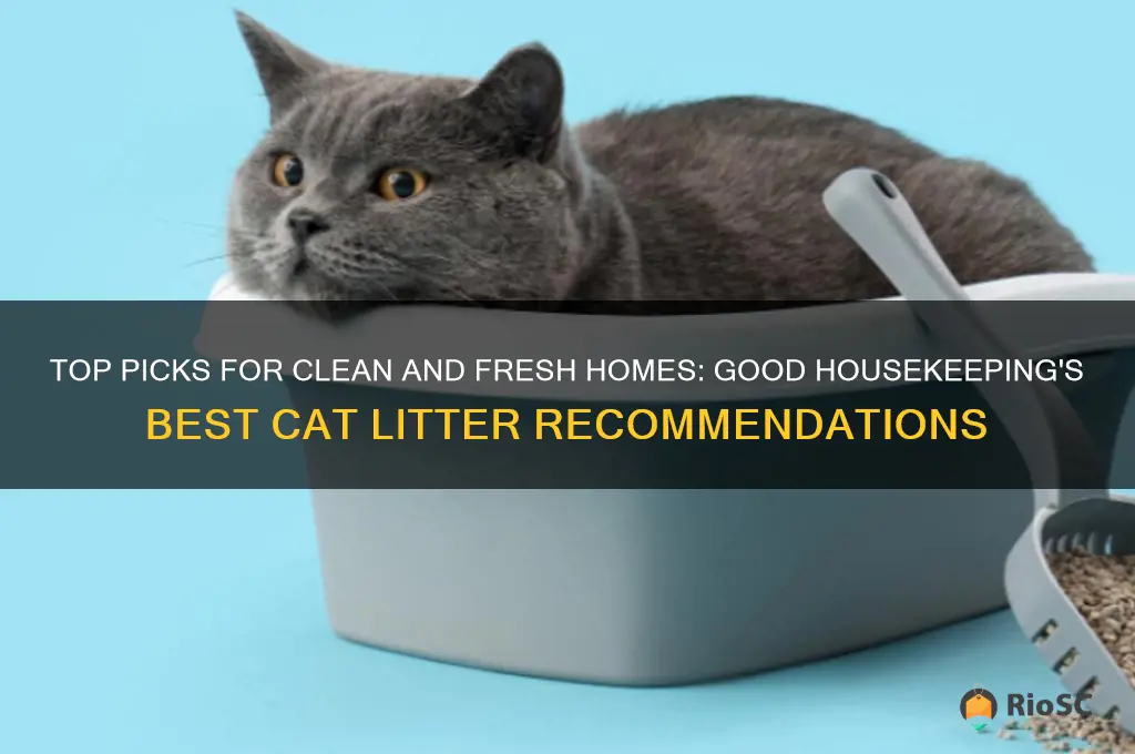 good housekeeping best cat litter
