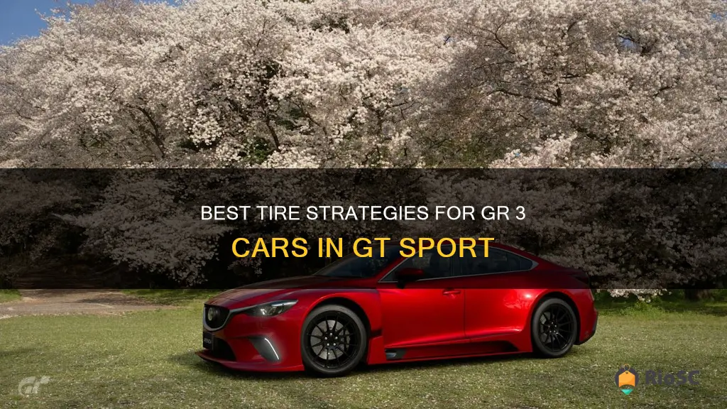 gr 3 cars gt sport best tires
