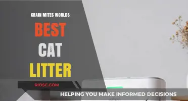 Grain Mites in Cat Litter: How to Choose the World's Best Cat Litter to Keep Your Feline Friend Safe and Healthy