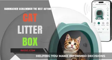 Revolutionize Your Cat Care: Hammacher Schlemmer's Top-Rated Automatic Cat Litter Box Reviewed