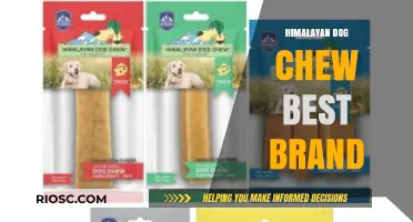 Top-Rated Himalayan Dog Chew Brands: A Comprehensive Guide to the Best Options for Your Pet
