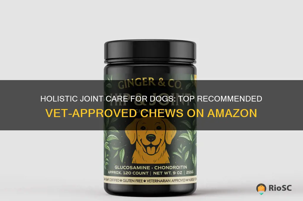 holistic best recommeneded vet dog chew for joints amazon