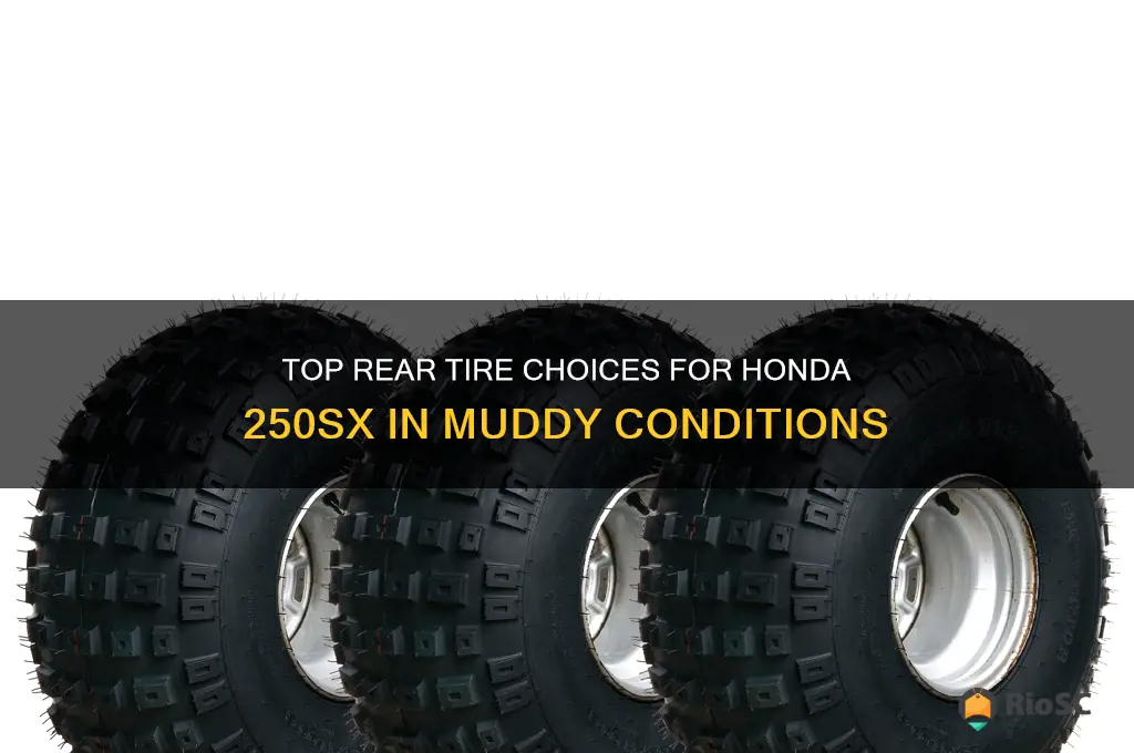 honda 250sx best rear tires for mud