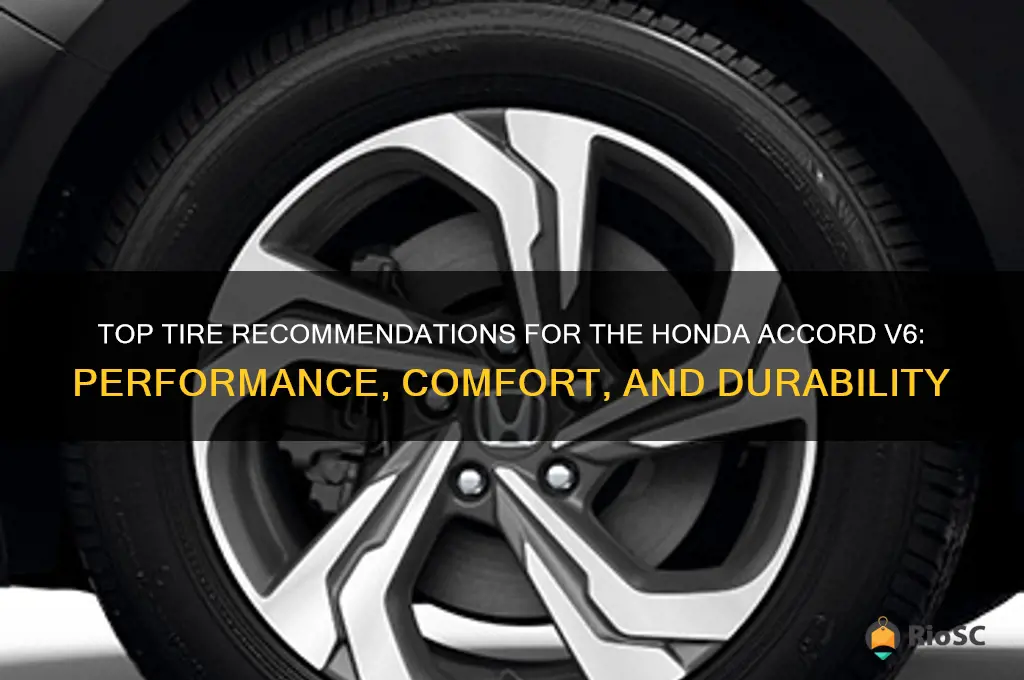 honda accord v6 best tires