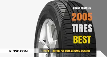Top Tire Recommendations for the 2005 Honda Odyssey: Best Performance and Durability
