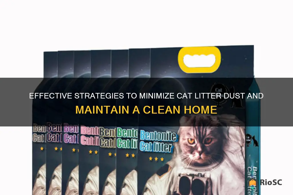 how best to contain cat litter dust