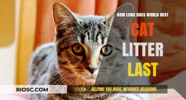 Maximizing Freshness: Understanding the Lifespan of World's Best Cat Litter