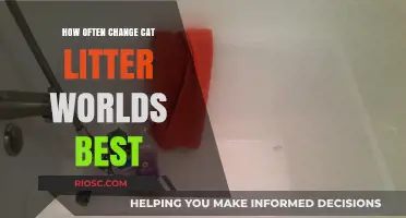 Optimal Frequency for Changing World’s Best Cat Litter: Tips for a Fresh and Clean Environment