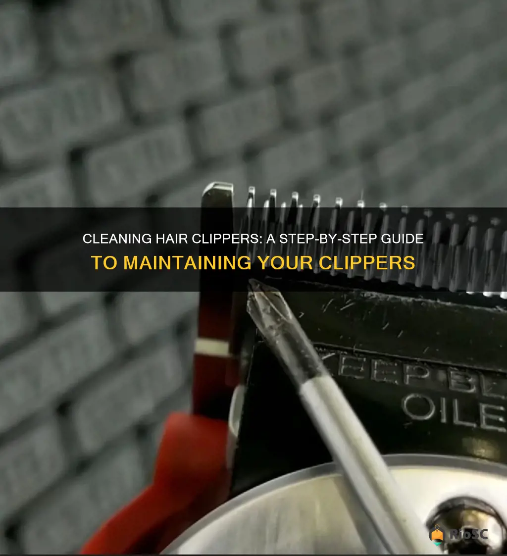 how to best clean hair clippers