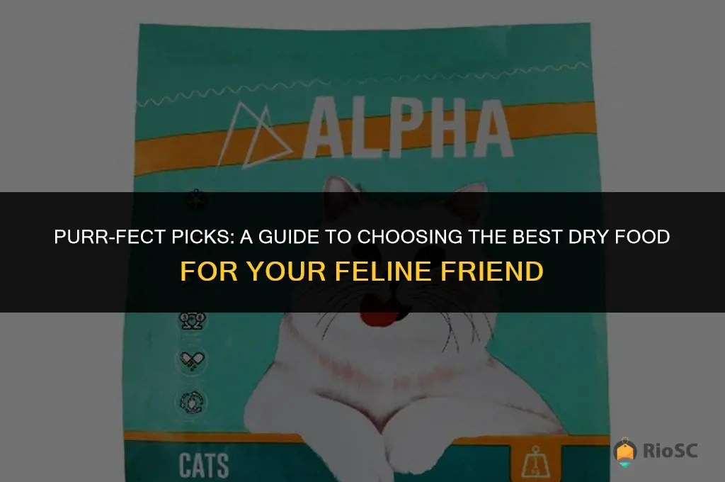 how to choose best cat dry food