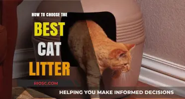 Purr-fect Choices: A Comprehensive Guide to Selecting the Best Cat Litter for Your Feline Friend