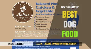 Nutrition for Your Furry Friend: A Guide to Selecting the Perfect Dog Food