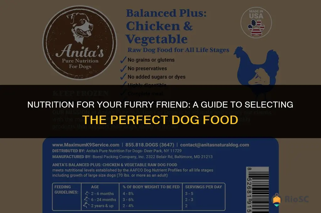 how to choose the best dog food