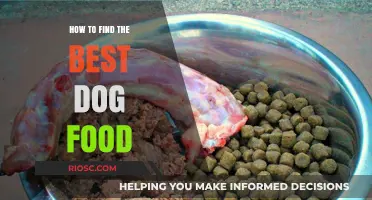 Decoding the Perfect Diet: A Guide to Choosing the Best Dog Food for Your Furry Friend