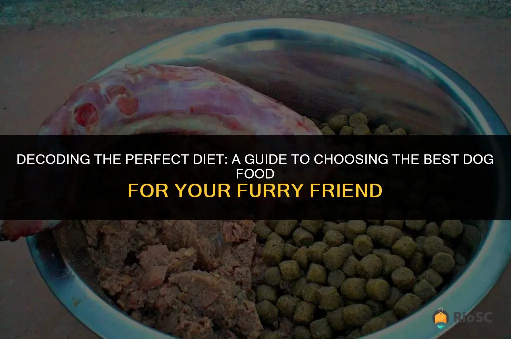 how to find the best dog food