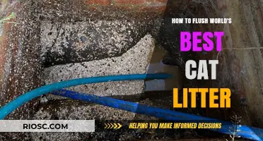 Efficient Flushing Tips for World's Best Cat Litter: A Step-by-Step Guide