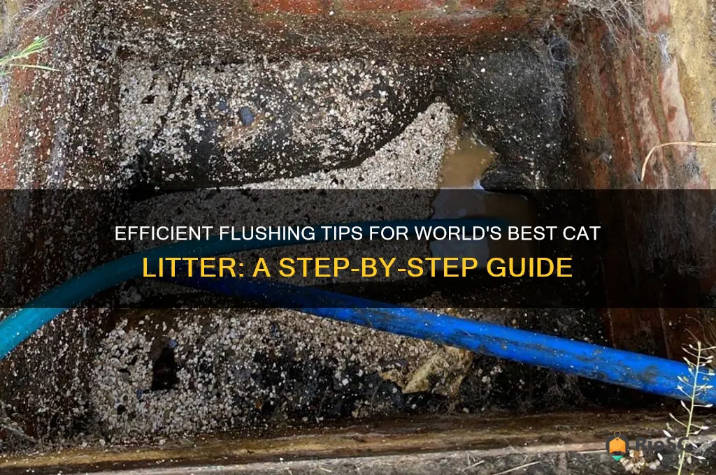 how to flush world