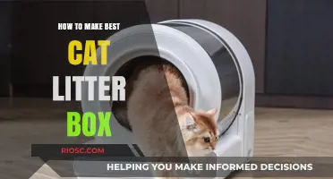 Crafting the Perfect Cat Litter Box: Tips for Comfort, Cleanliness, and Convenience
