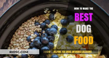 Crafting Canine Cuisine: A Guide to Making the Best Dog Food at Home