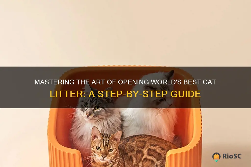 how to open world