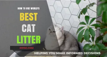 Mastering the Art of Using the World's Best Cat Litter for a Cleaner, Fresher Home