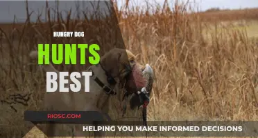 Hungry Dog Hunts Best: The Surprising Link Between Motivation and Survival Instincts