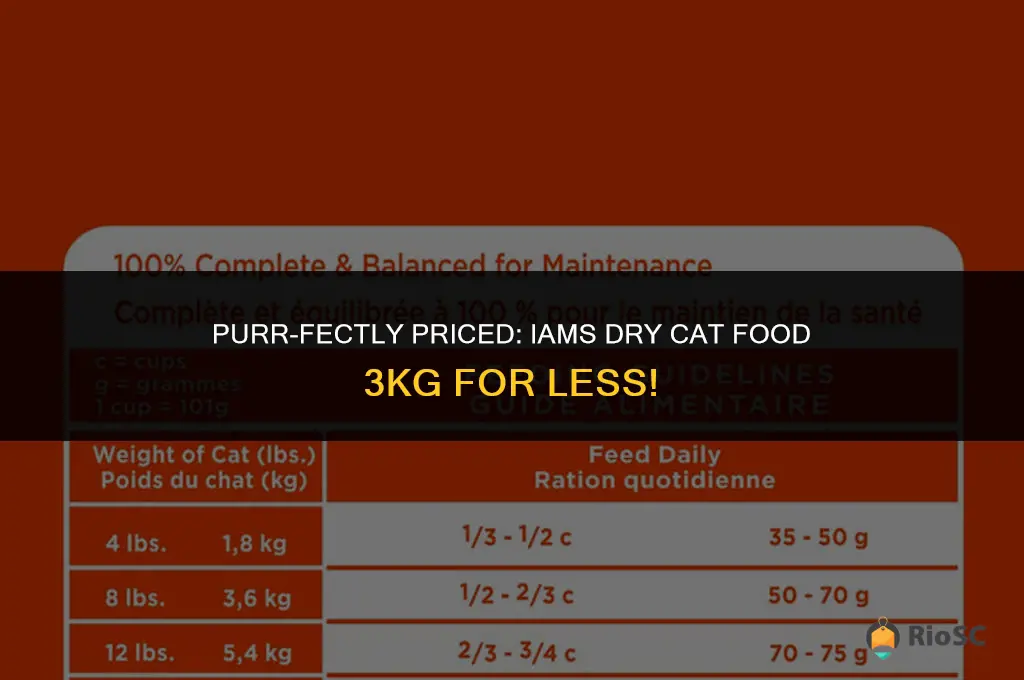 iams dry cat food 3kg best price