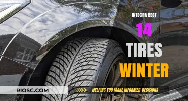 Top Winter Tires: Integra Best 14 Reviewed for Optimal Performance
