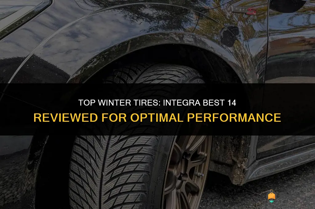 integra best 14 tires winter