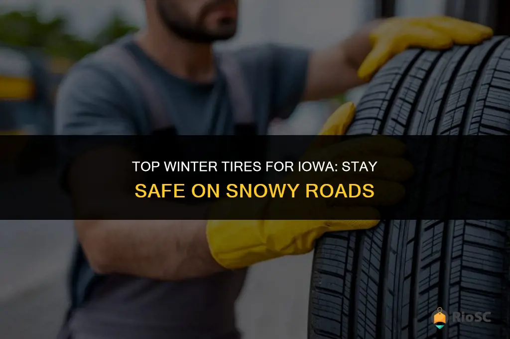 iowa best tires in winter