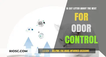 Is Cat Litter the Ultimate Solution for Odor Control? A Comprehensive Review