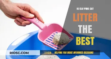 Is Clu Ping Cat Litter the Best? A Comprehensive Review and Comparison