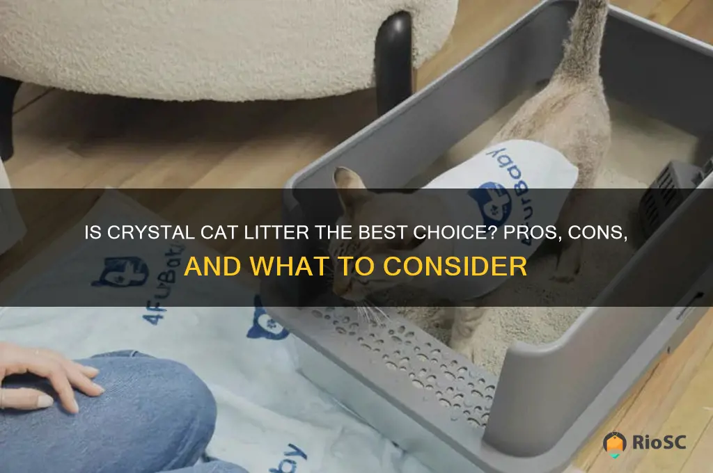 is crystal cat litter best