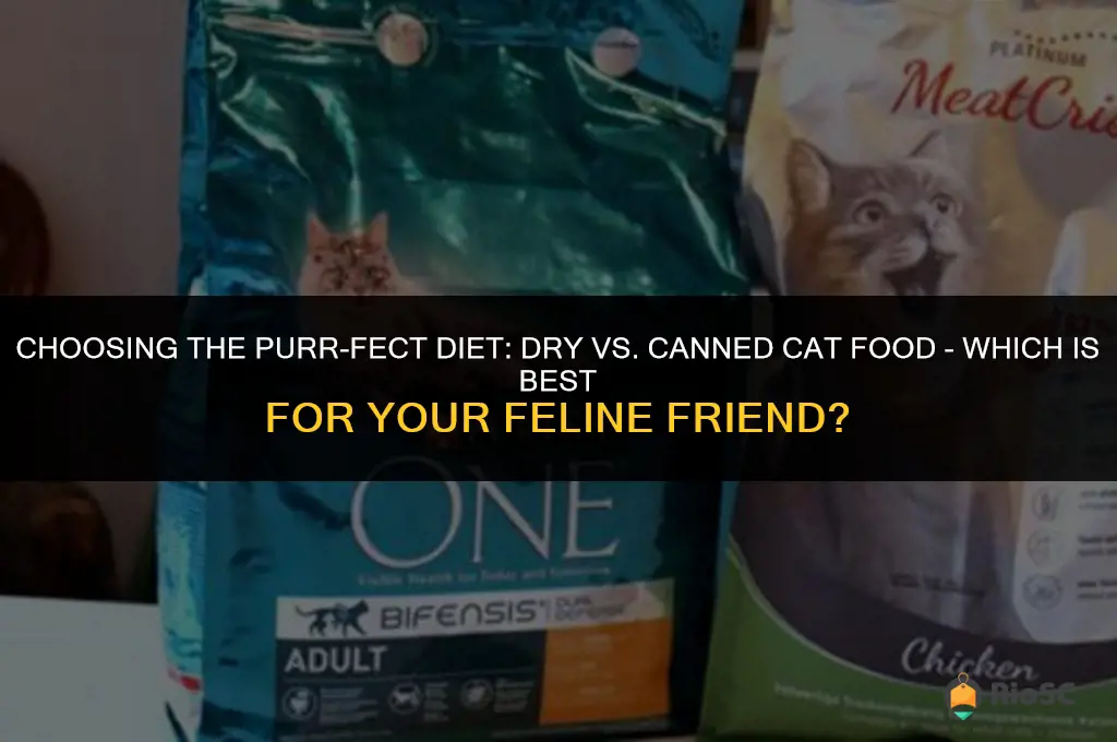 is dry or canned cat food best for my