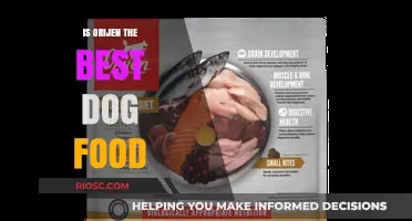 Is Orijen the Best Dog Food? A Comprehensive Review of Ingredients, Quality, and Benefits