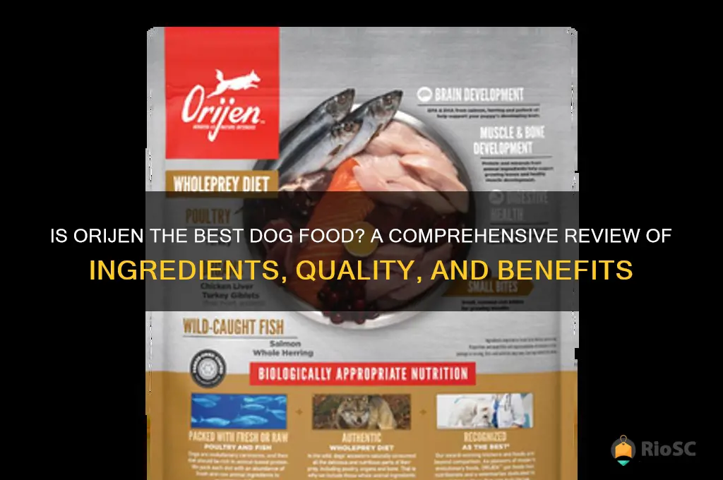 is orijen the best dog food