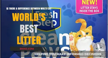 Multi Cat World's Best Litter: Is There Really a Difference?