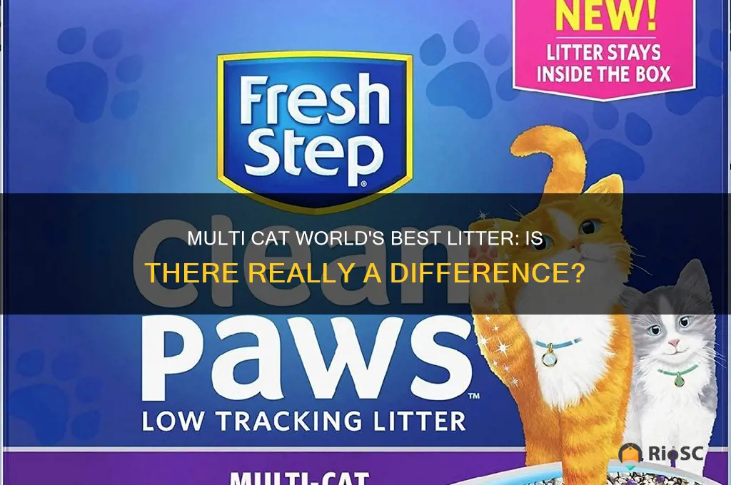 is there a difference between multi cat world