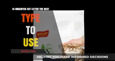 Unscented Cat Litter: The Top Choice for Your Feline Friend?