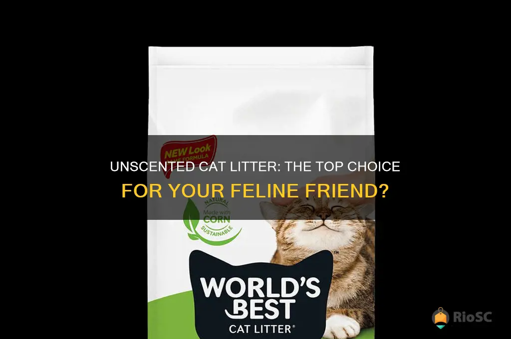 is unsented cat litter the best type to use