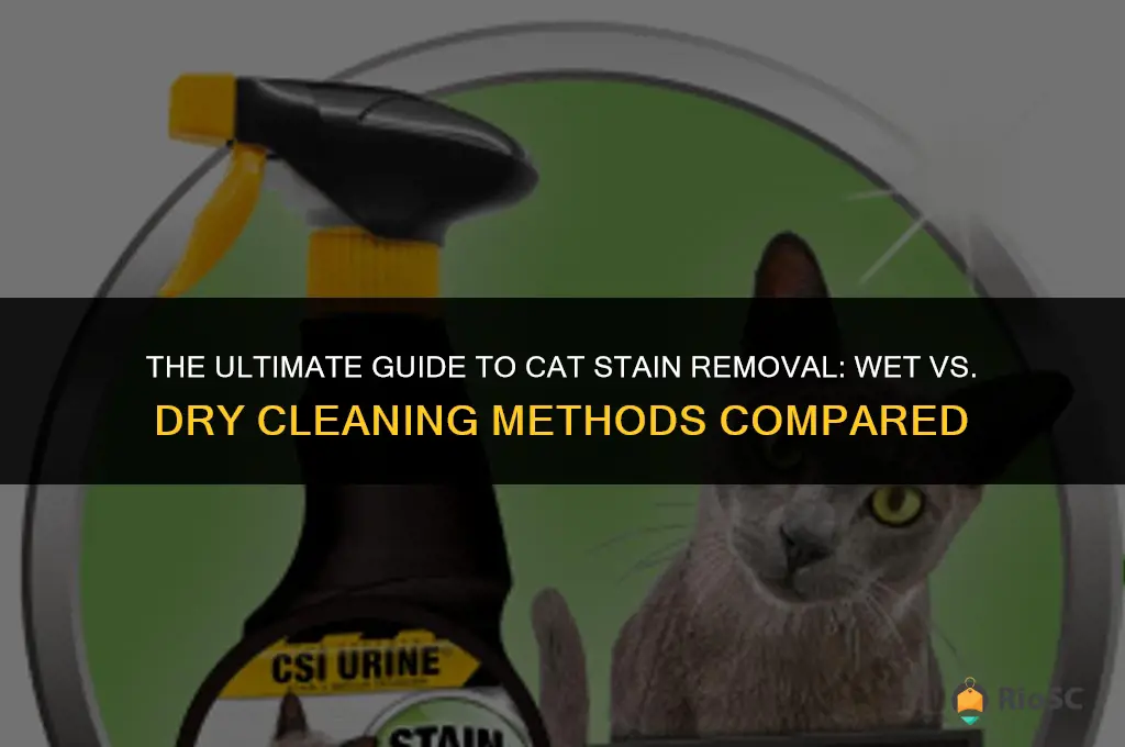 is wet or dry cleaning for cat removal the best